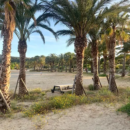 Faviere-plage, Piscine-terrain De Tennis-foot شقة بورم لي ميموزا